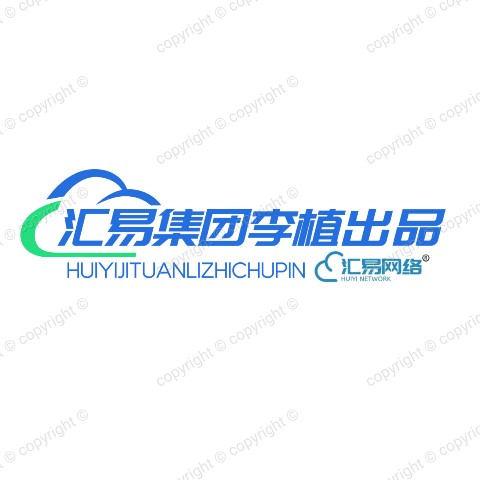 汇宇科技集团 企业标识